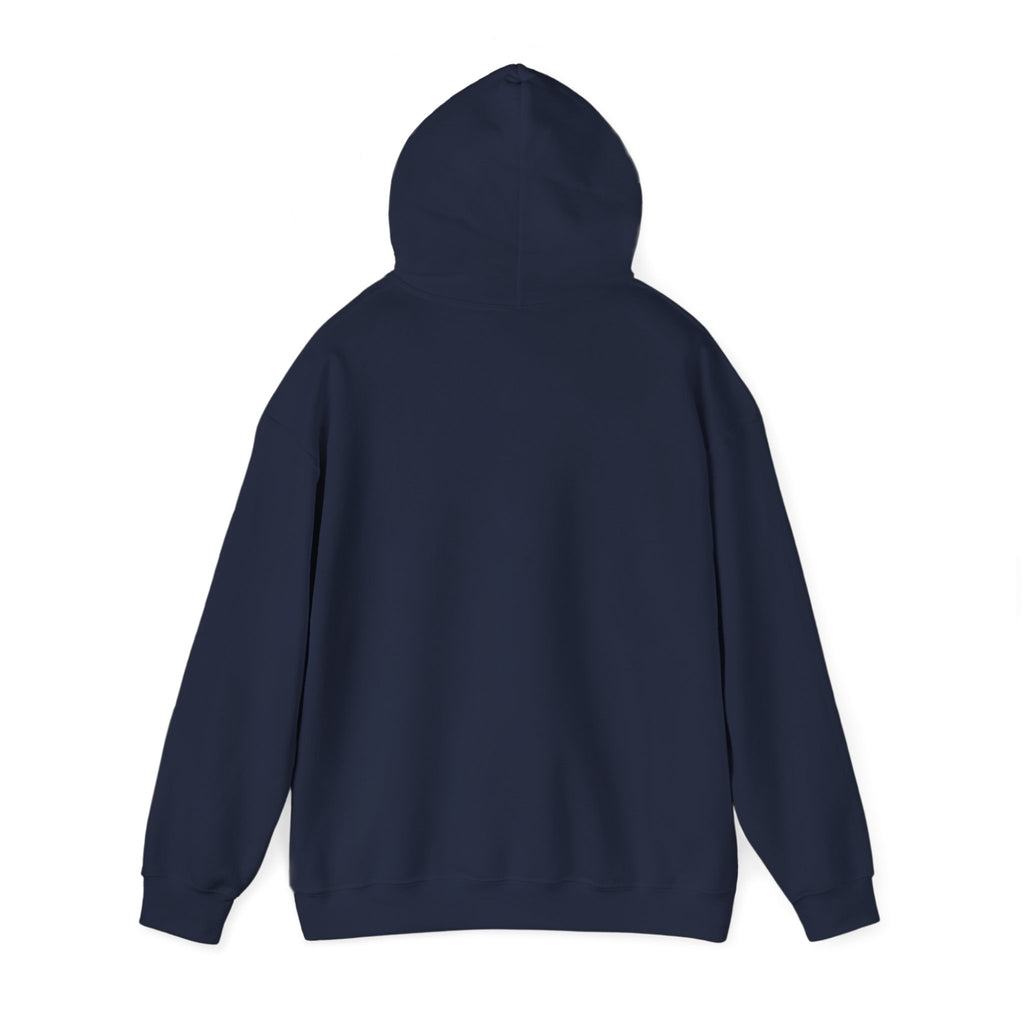 No Hate In My Paint Hoodie | queer basketball, pride ally protest wear