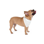 Custom Pet Bandana — Personalized "Your Text Here" Triangle Scarf for Dogs & Cats