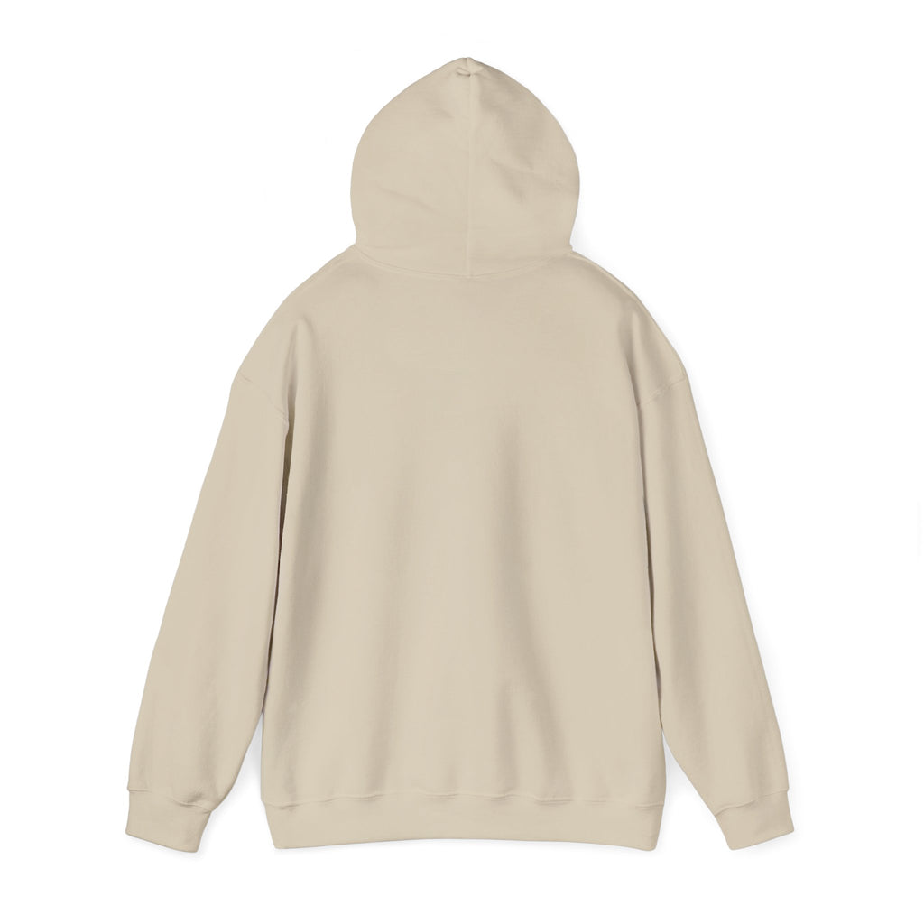 No Hate In My Paint Hoodie | queer basketball, pride ally protest wear